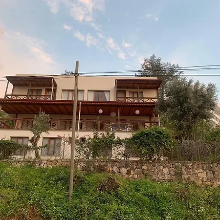 Mora House Cedit
